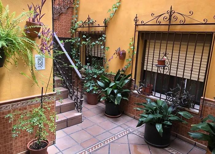 Familiar En Toledo, Con 2 Dormitorios, Camas De Matrimonio, Ideal Ubicacion Y Fantasticas Vistas * 톨레도